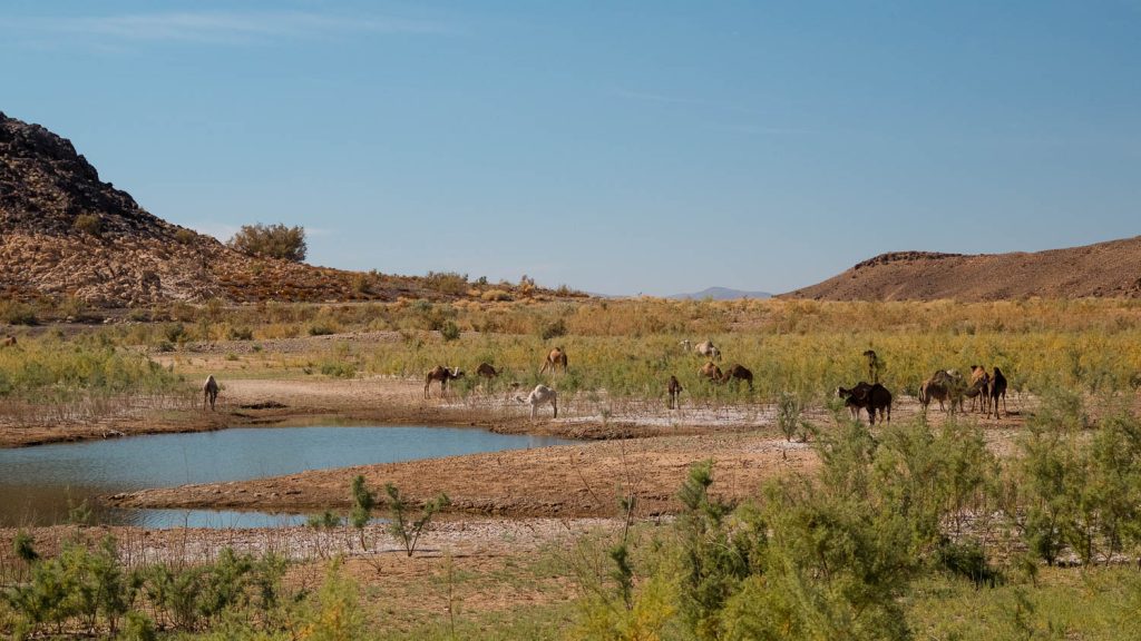 Photography by Ian Arthur 2023