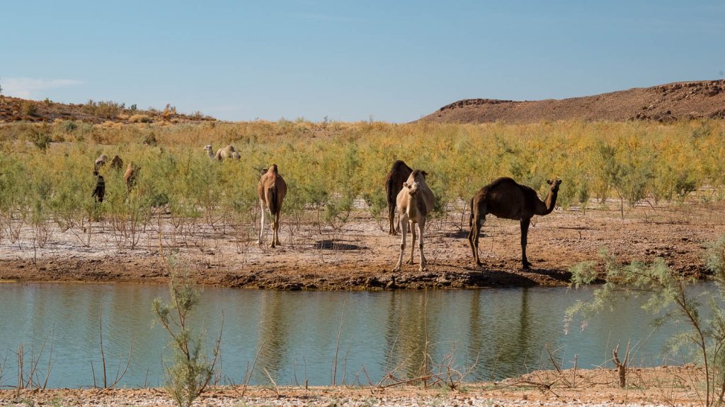 Photography by Ian Arthur 2023