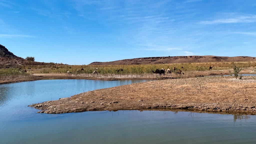 Photography by Ian Arthur 2023