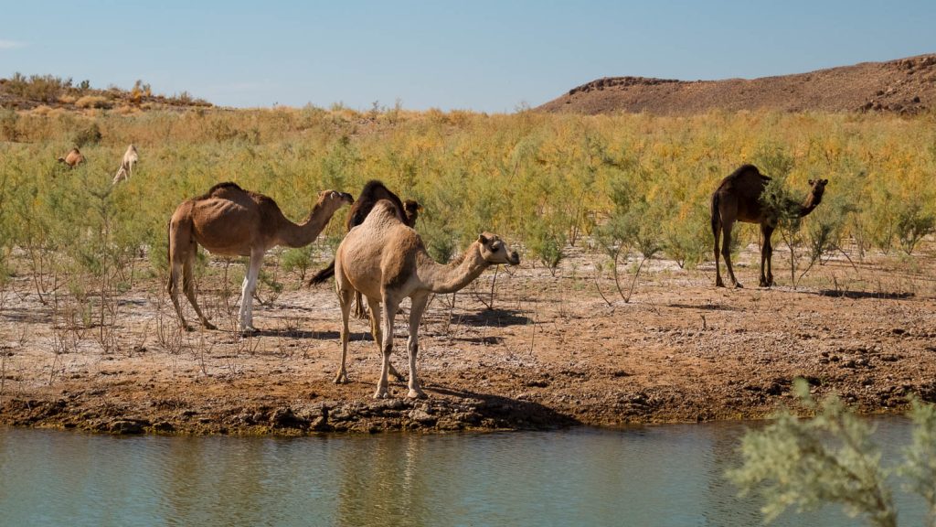 Photography by Ian Arthur 2023