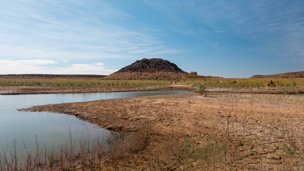 Photography by Ian Arthur 2023