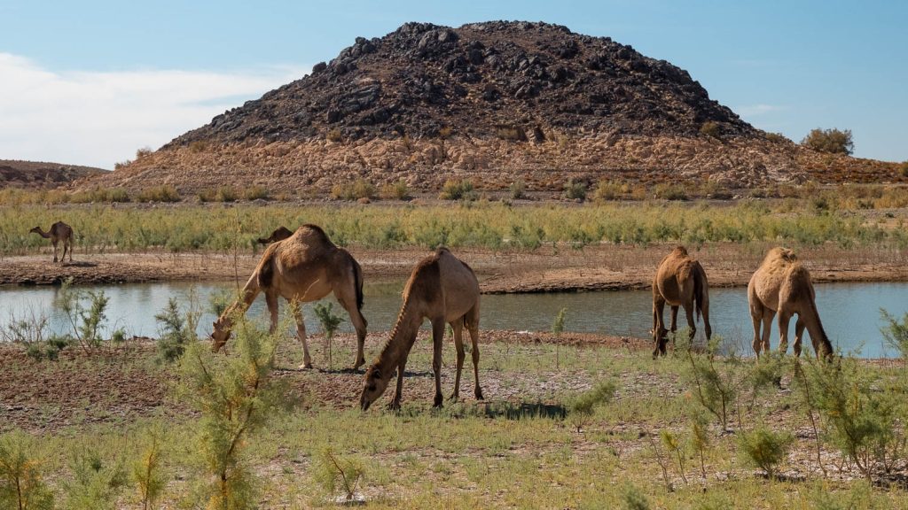 Photography by Ian Arthur 2023