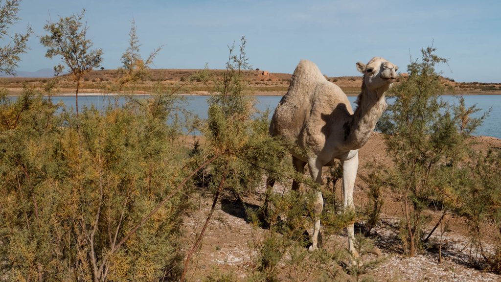 Photography by Ian Arthur 2023