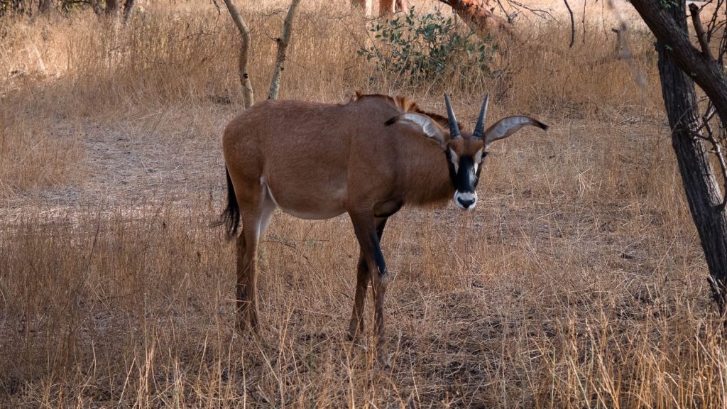 Photography by Ian Arthur 2023