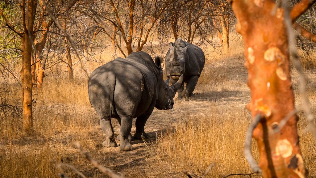 Photography by Ian Arthur 2023