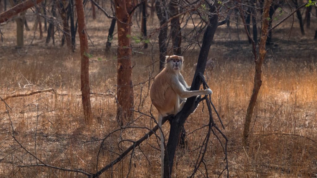 Photography by Ian Arthur 2023