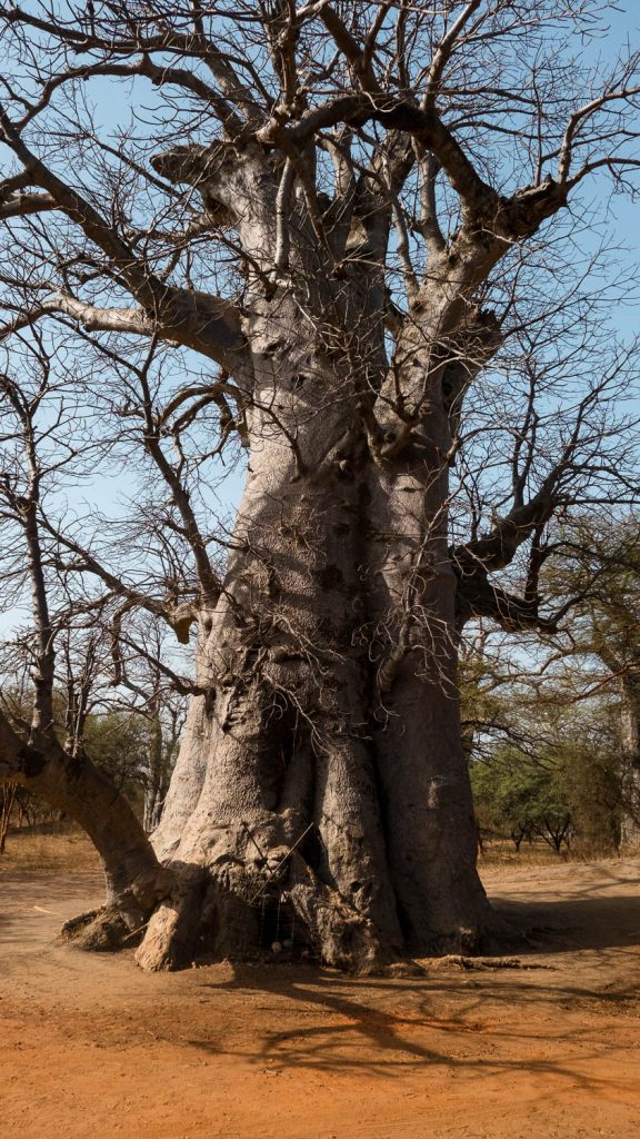 Photography by Ian Arthur 2023