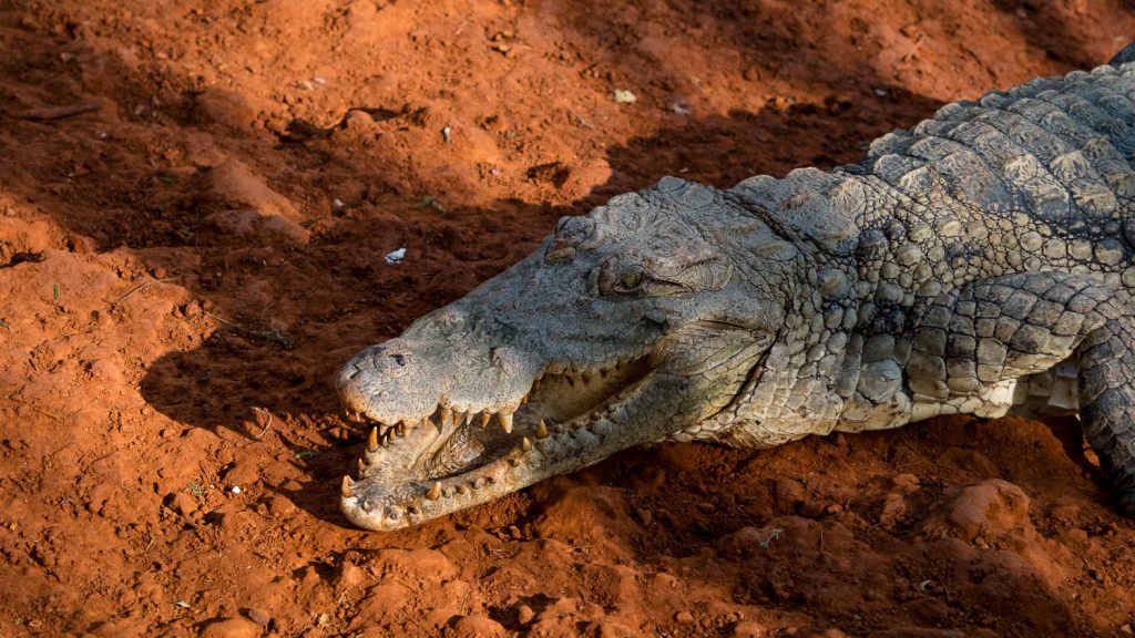 Photography by Ian Arthur 2023