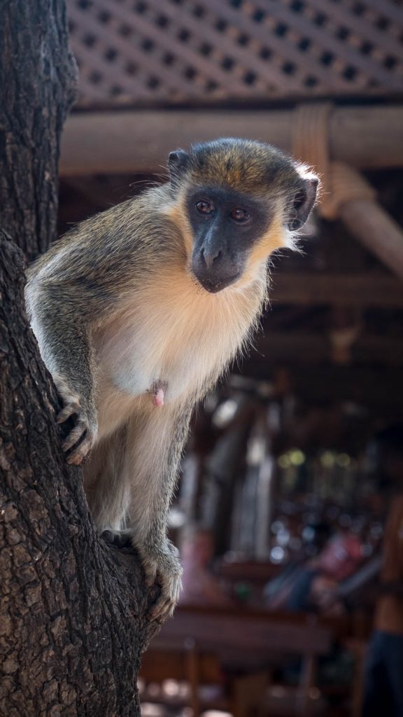 Photography by Ian Arthur 2023