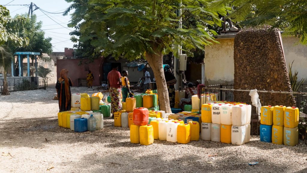 Photography by Ian Arthur 2023