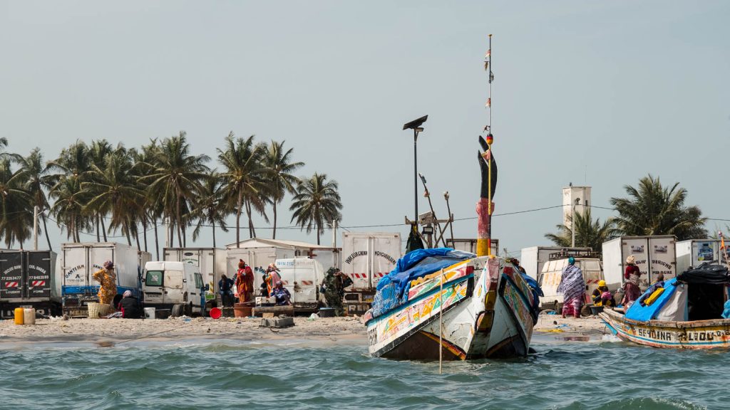 Photography by Ian Arthur 2023