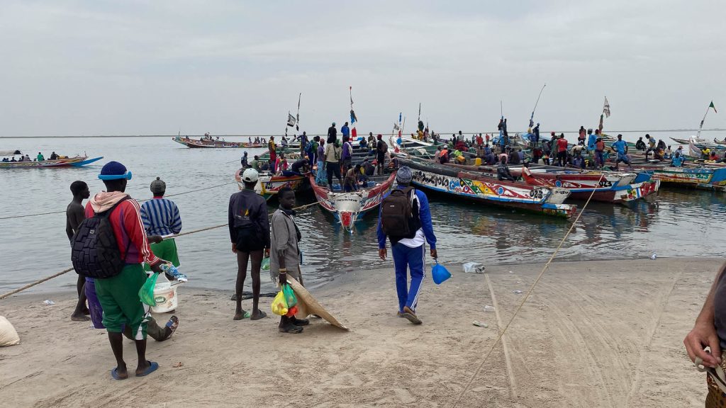 Photography by Ian Arthur 2023