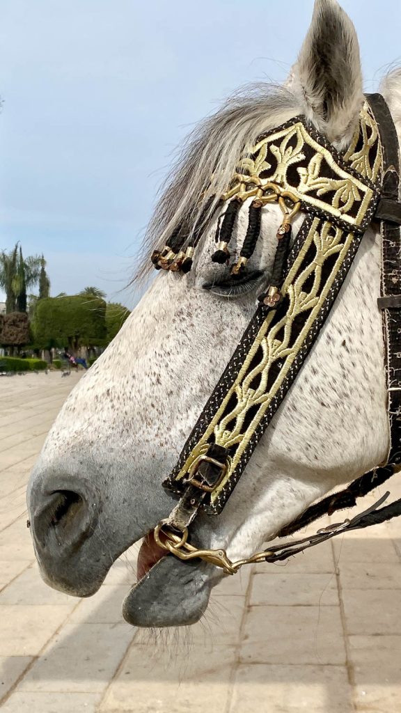 Photography by Ian Arthur 2023