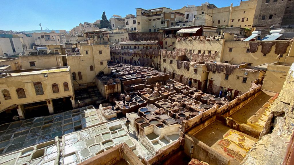 Photography by Ian Arthur 2023