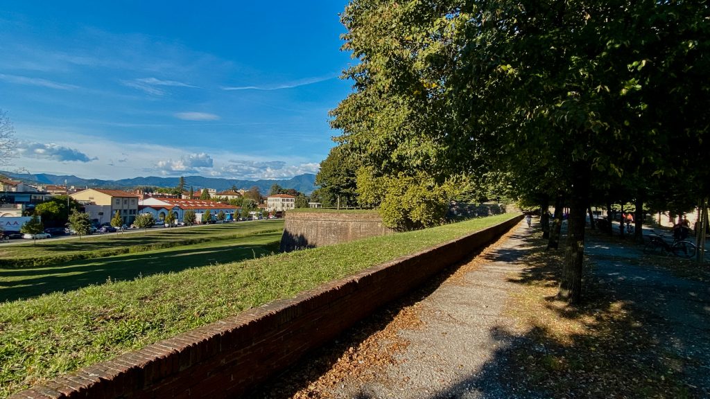 Photography by Ian Arthur 2023