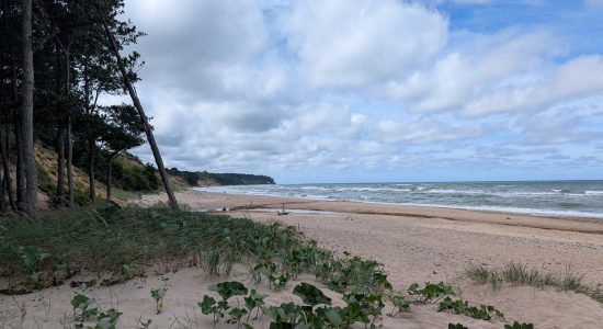 Lithuania to Latvia